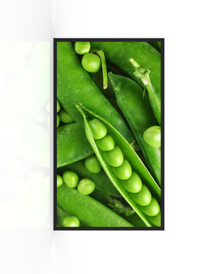 खरीदें 3000 निट्स वाटरप्रूफ डिस्प्ले विज्ञापनकर्ता ऑनलाइन निर्माण